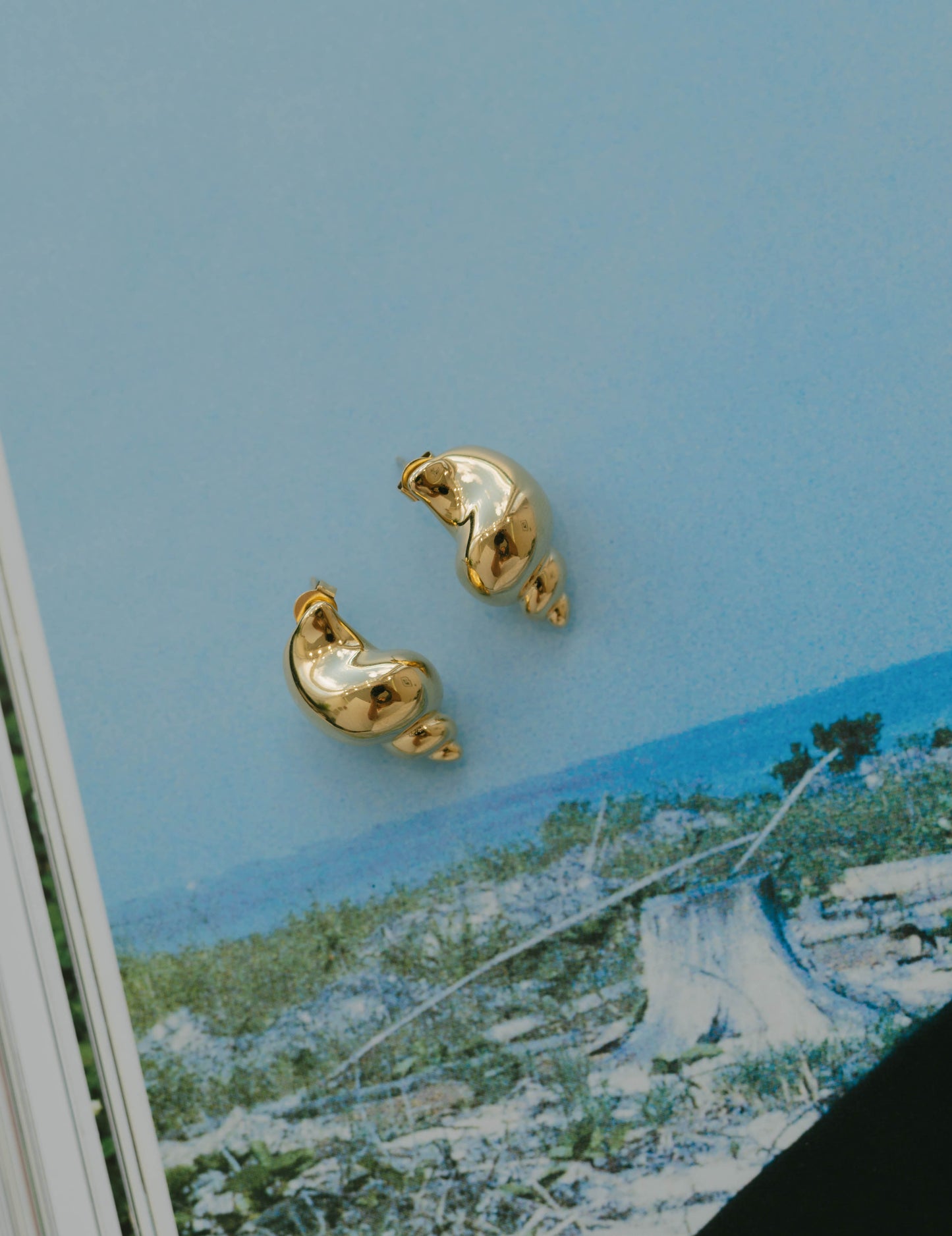 Luna Shell Stud Earrings - Gold