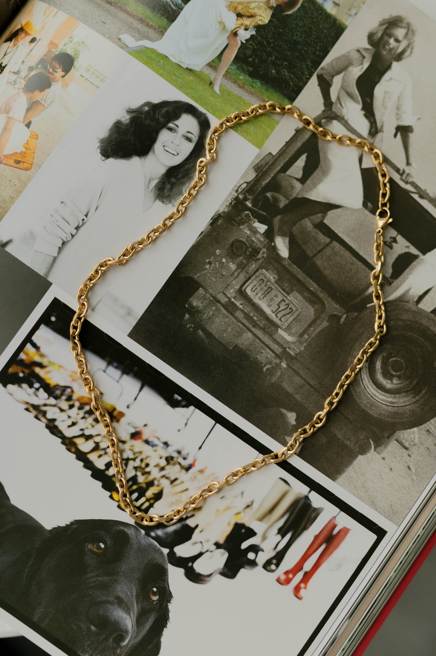 Rolo Chain Necklace – Gold