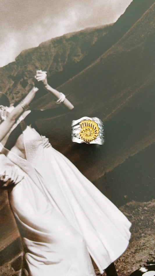 Amalfi Spiral Ring – Mixed Metal