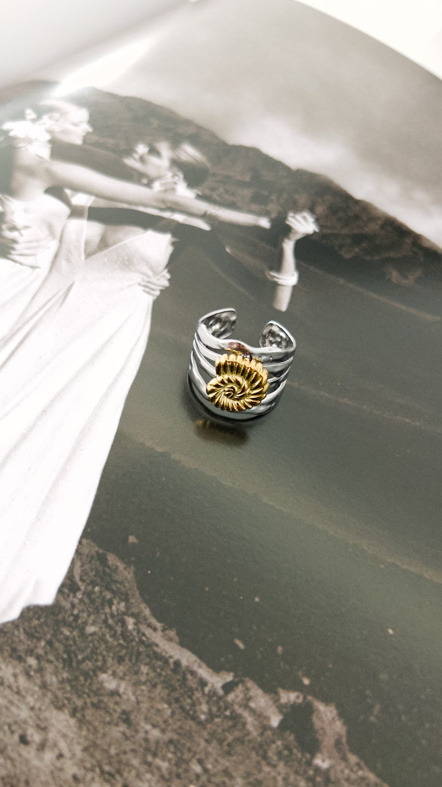 Amalfi Spiral Ring – Mixed Metal