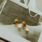 Shell Freshwater Pearl Earrings