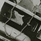 Rolo Chain Necklace – Silver