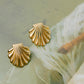 Seashell Stud Earrings