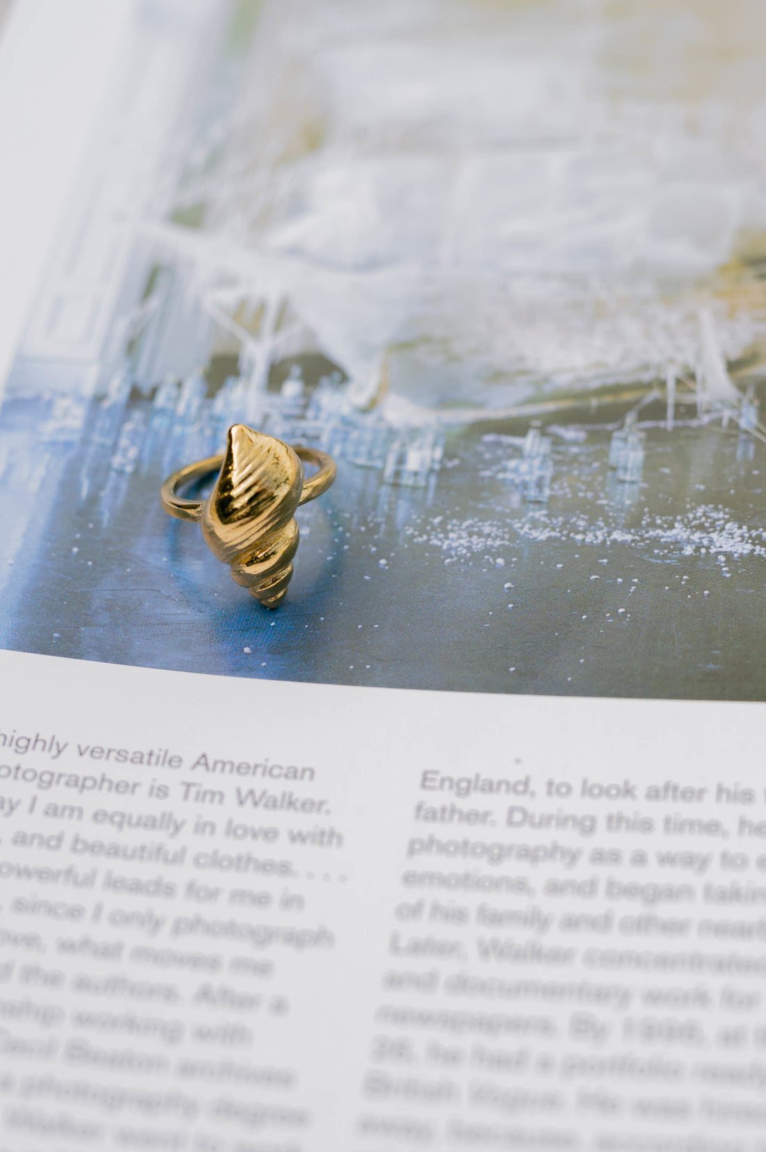 Conch Shell Ring – BIBI & KIM