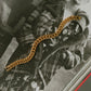 Cuban Chain Bracelet – Gold